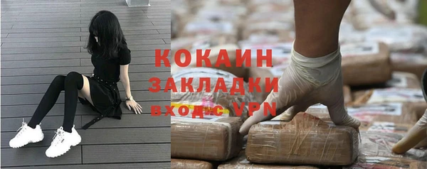 спиды Няндома