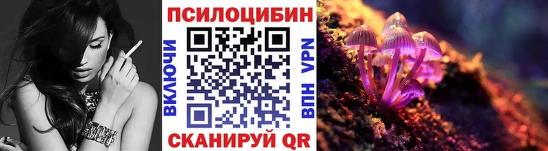 где найти   Баймак  Псилоцибиновые грибы Psilocybine cubensis 